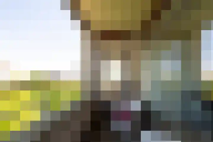 Professor Cobbenhagenlaan 758 Tilburg thumbnail 14