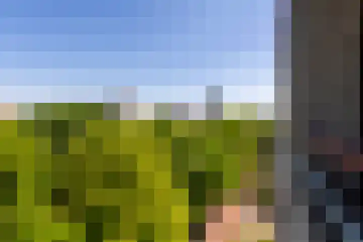 Professor Cobbenhagenlaan 758 Tilburg thumbnail 15