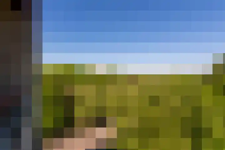 Professor Cobbenhagenlaan 758 Tilburg thumbnail 16