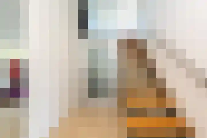 Professor Cobbenhagenlaan 758 Tilburg thumbnail 25