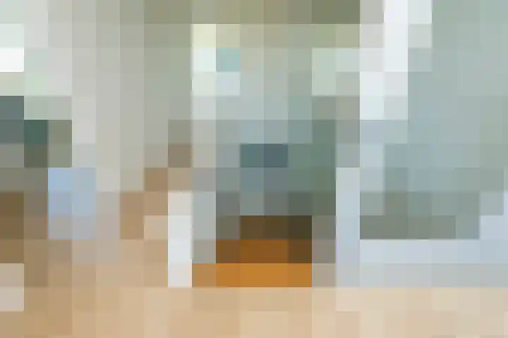 Professor Cobbenhagenlaan 758 Tilburg thumbnail 26