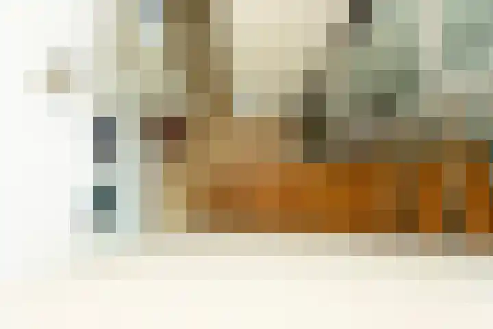Professor Cobbenhagenlaan 758 Tilburg thumbnail 27