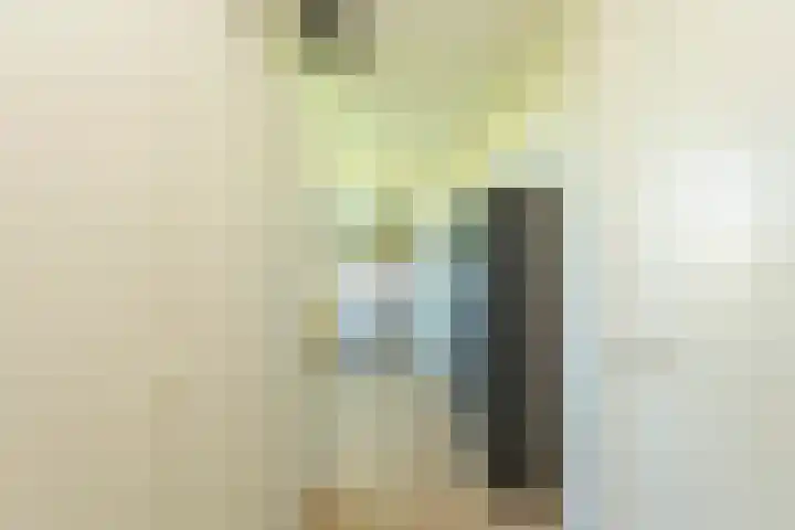 Professor Cobbenhagenlaan 758 Tilburg thumbnail 32