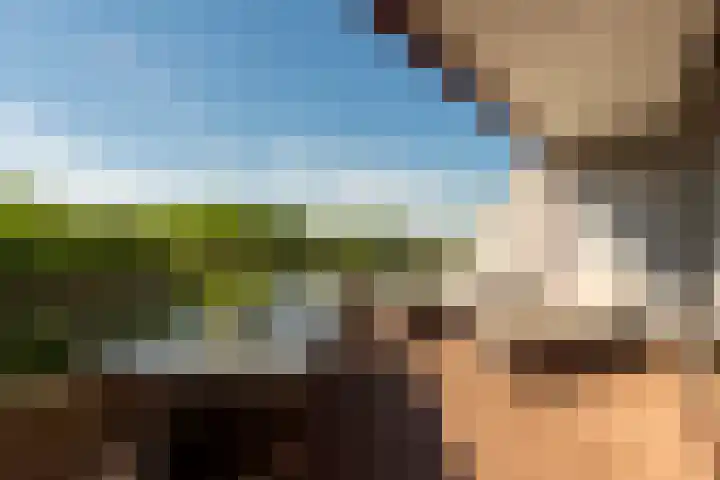 Professor Cobbenhagenlaan 758 Tilburg thumbnail 37