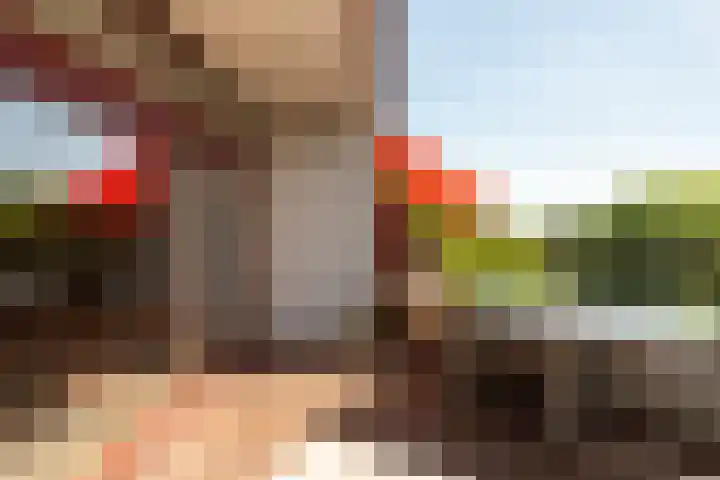 Professor Cobbenhagenlaan 758 Tilburg thumbnail 38