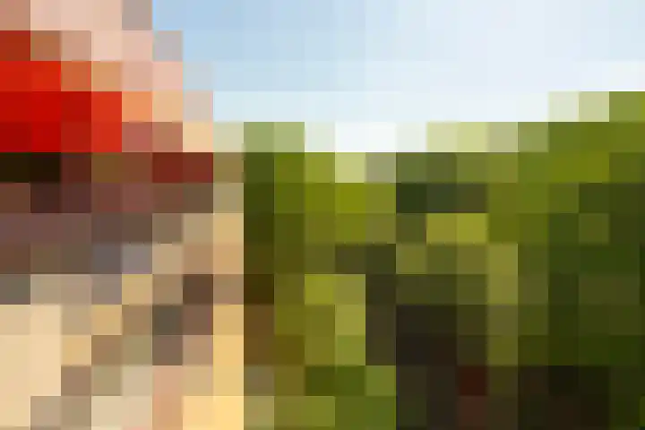 Professor Cobbenhagenlaan 758 Tilburg thumbnail 39
