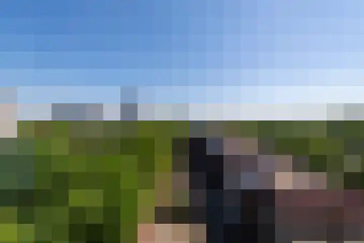 Professor Cobbenhagenlaan 758 Tilburg thumbnail 40