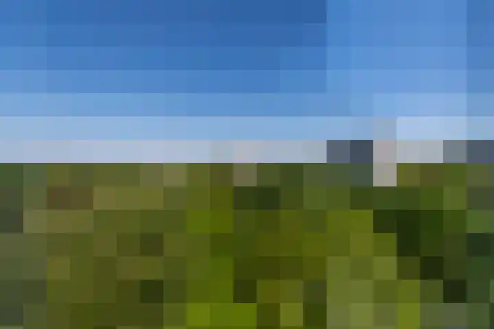 Professor Cobbenhagenlaan 758 Tilburg thumbnail 41