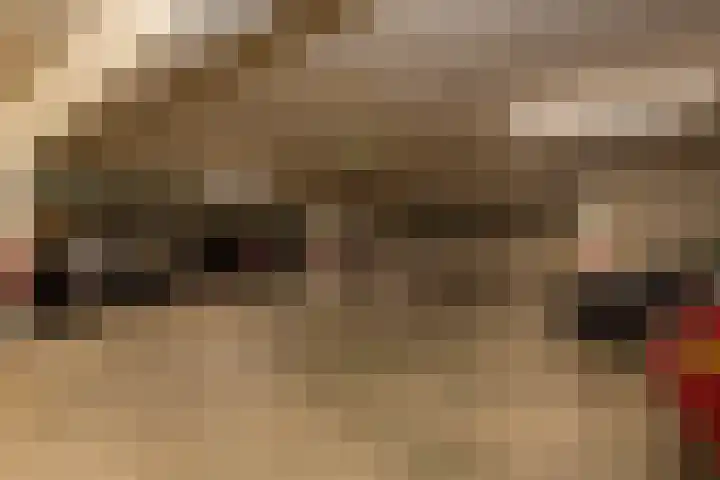 Professor Cobbenhagenlaan 758 Tilburg thumbnail 43