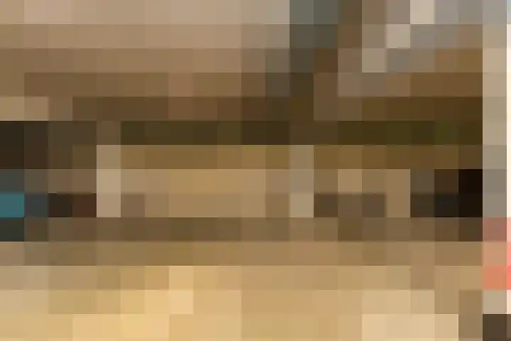 Professor Cobbenhagenlaan 758 Tilburg thumbnail 44