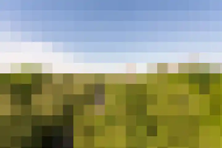 Professor Cobbenhagenlaan 758 Tilburg thumbnail 5