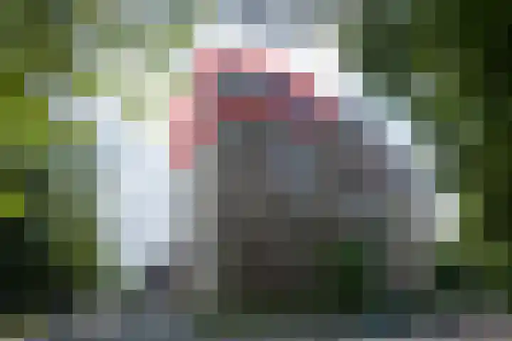 Professor Cobbenhagenlaan 758 Tilburg thumbnail 6