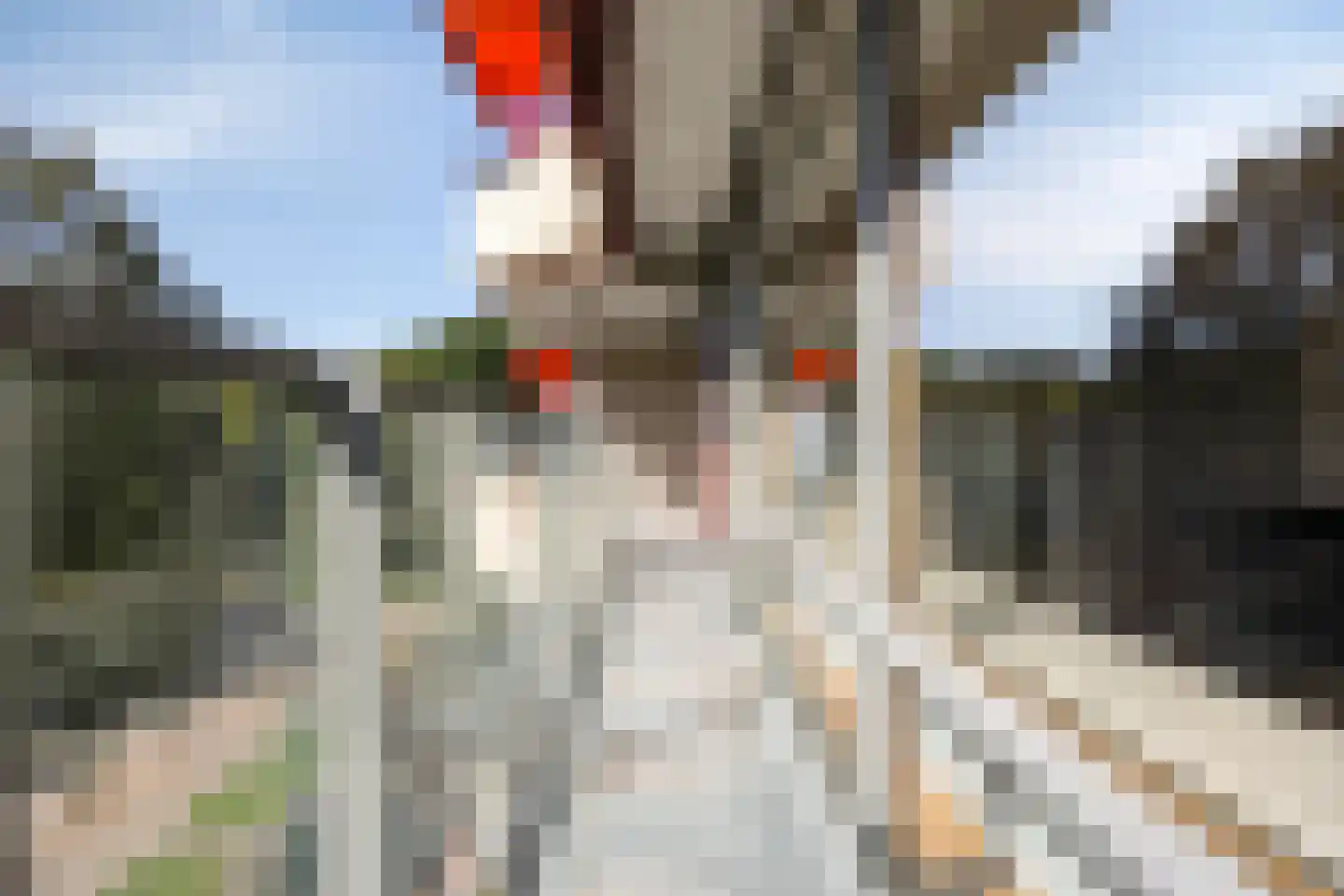 Professor Cobbenhagenlaan 792 Tilburg thumbnail 31