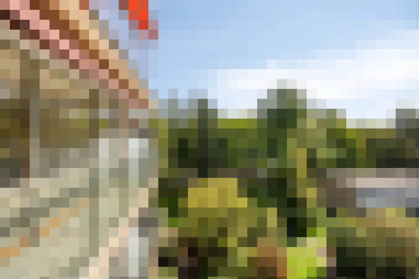 Professor Cobbenhagenlaan 792 Tilburg thumbnail 32