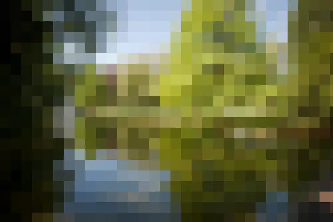 Professor Cobbenhagenlaan 792 Tilburg thumbnail 58