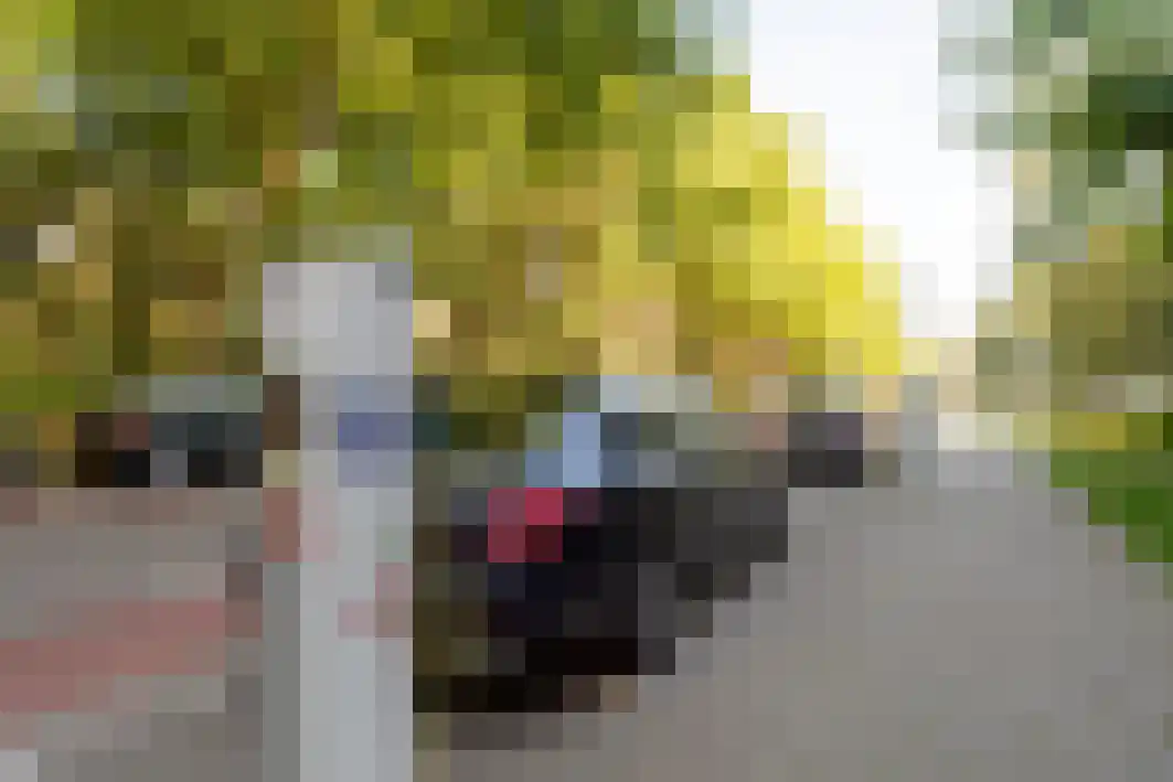 Professor Cobbenhagenlaan 792 Tilburg thumbnail 60