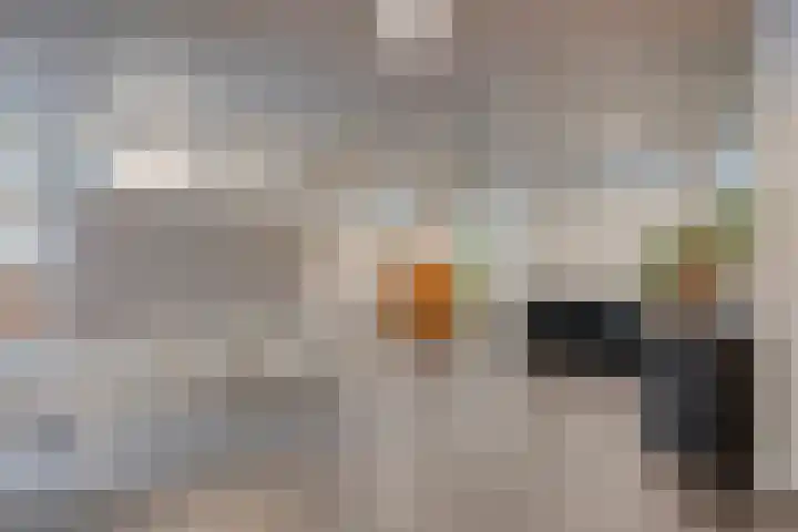 Professor Cobbenhagenlaan 812 Tilburg thumbnail 11