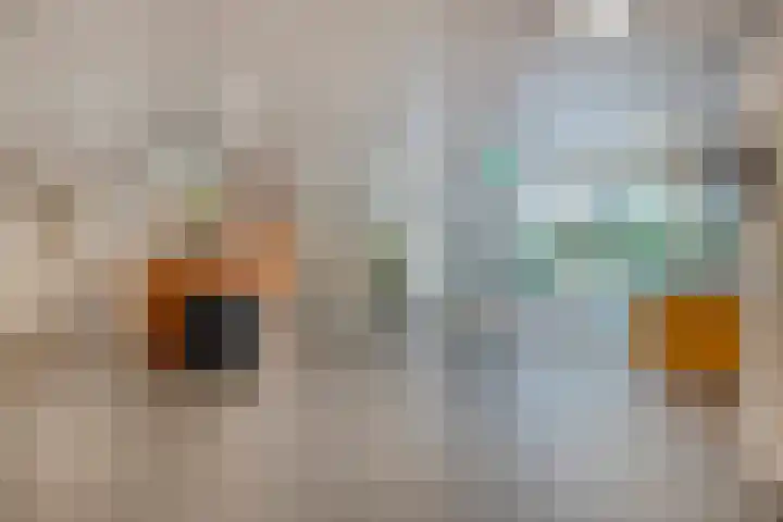 Professor Cobbenhagenlaan 812 Tilburg thumbnail 12