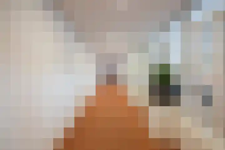 Professor Cobbenhagenlaan 812 Tilburg thumbnail 13