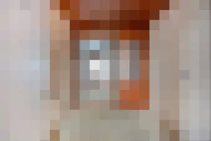Professor Cobbenhagenlaan 812 Tilburg thumbnail 20