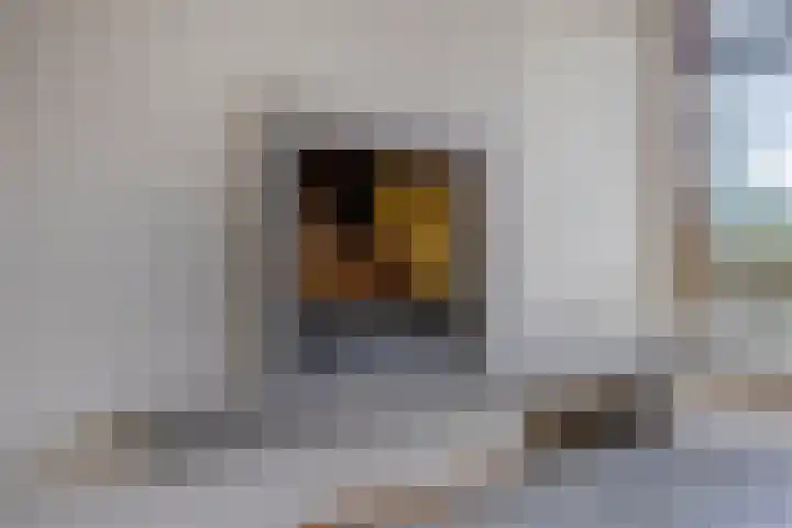 Professor Cobbenhagenlaan 812 Tilburg thumbnail 24