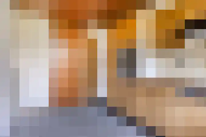 Professor Cobbenhagenlaan 812 Tilburg thumbnail 29