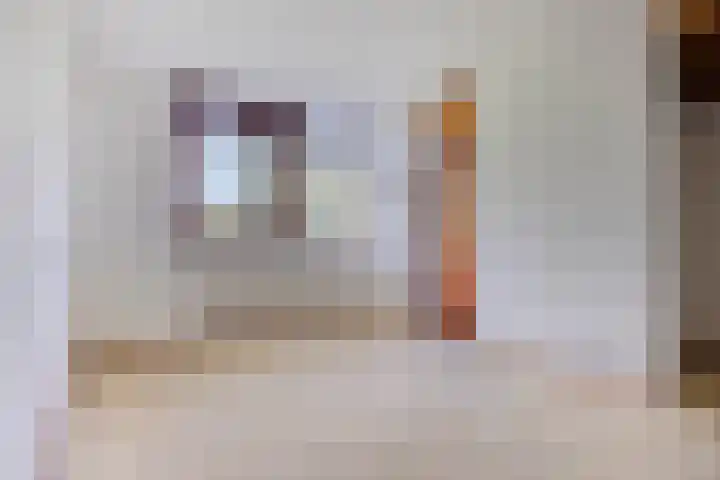 Professor Cobbenhagenlaan 812 Tilburg thumbnail 32