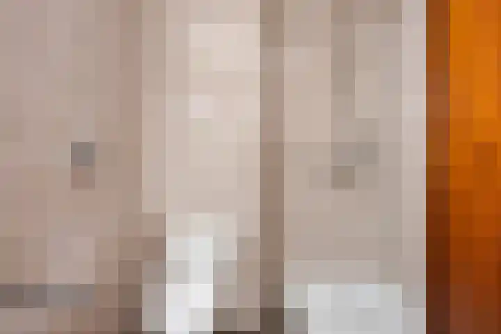 Professor Cobbenhagenlaan 812 Tilburg thumbnail 34