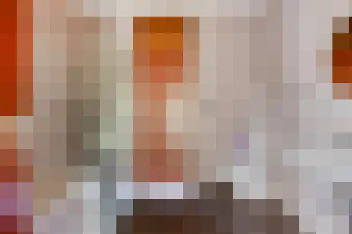 Professor Cobbenhagenlaan 812 Tilburg thumbnail 39