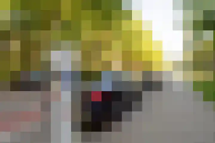 Professor Cobbenhagenlaan 812 Tilburg thumbnail 44