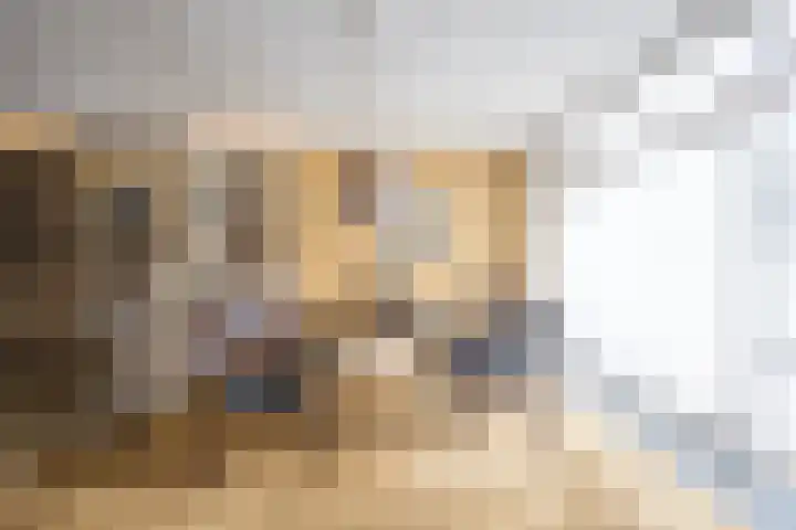 Professor Cobbenhagenlaan 812 Tilburg thumbnail 47