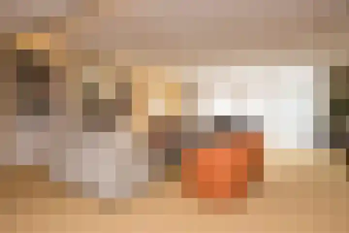 Professor Cobbenhagenlaan 812 Tilburg thumbnail 48