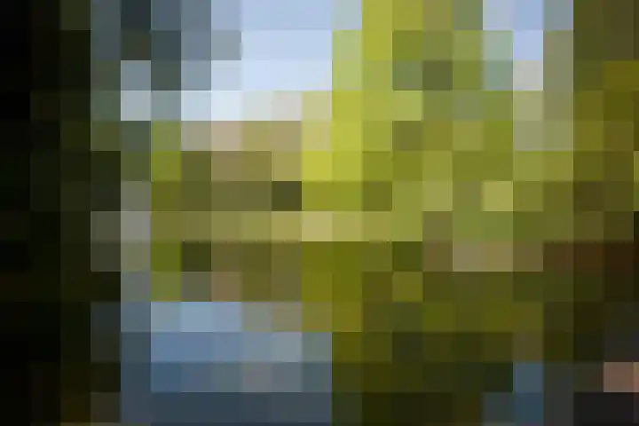 Professor Cobbenhagenlaan 812 Tilburg thumbnail 51