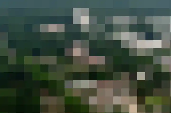 Professor Cobbenhagenlaan 812 Tilburg thumbnail 52