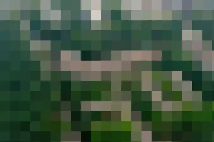 Professor Cobbenhagenlaan 812 Tilburg thumbnail 53