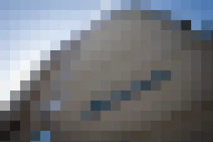 Professor Cobbenhagenlaan 812 Tilburg thumbnail 7