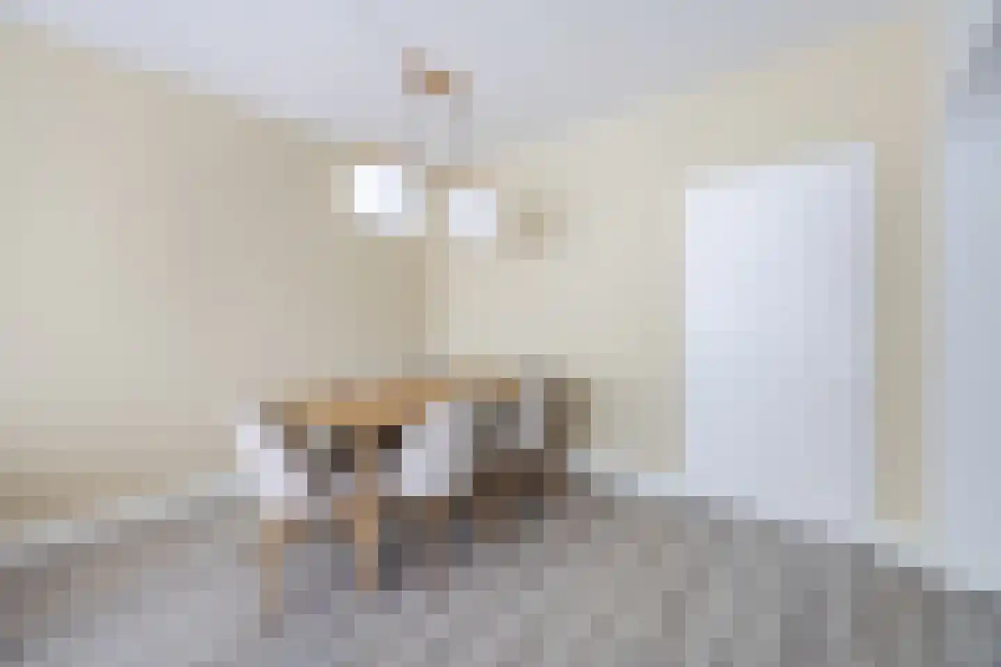 Professor Cobbenhagenlaan 88 Tilburg thumbnail 14