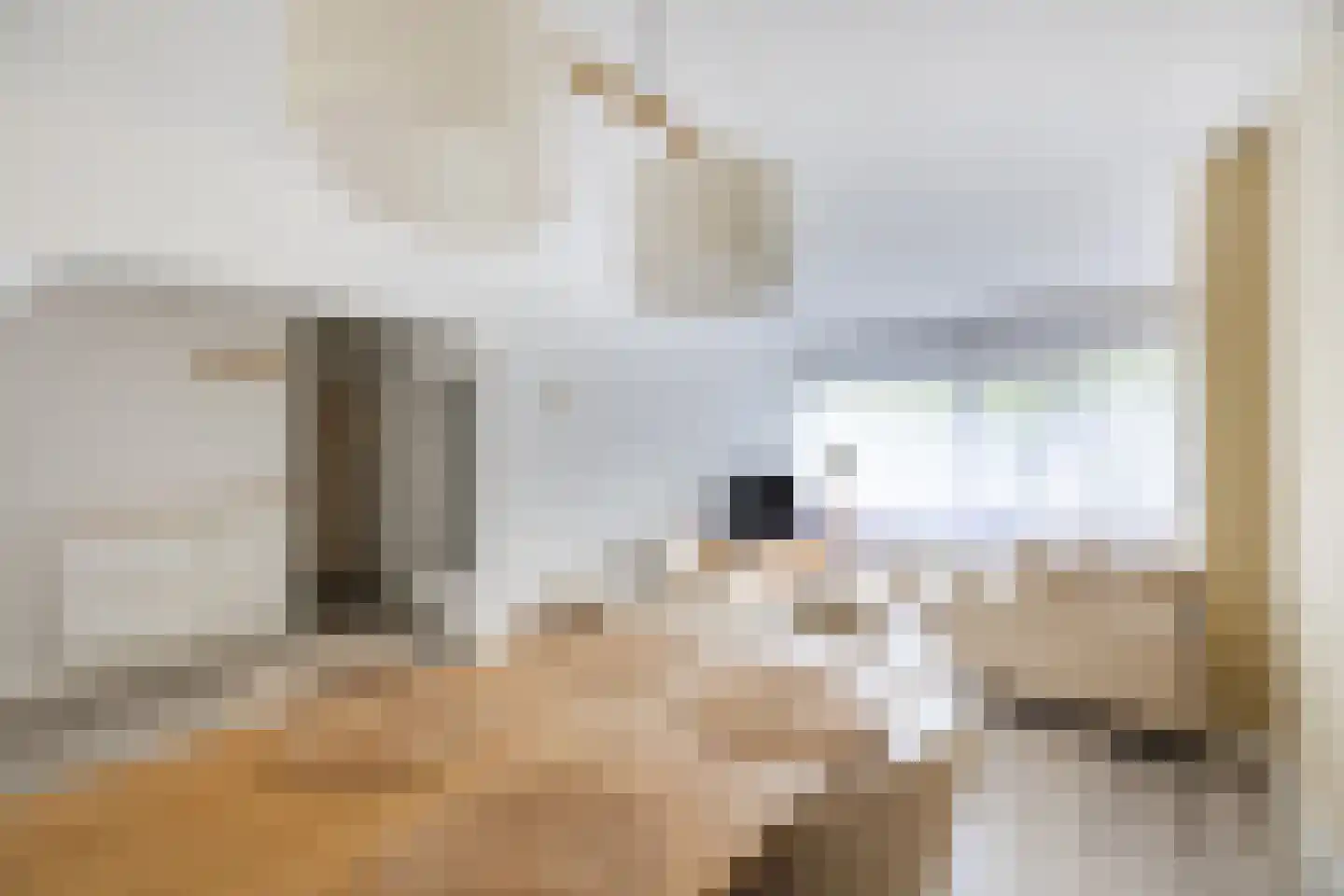 Professor Cobbenhagenlaan 88 Tilburg thumbnail 16
