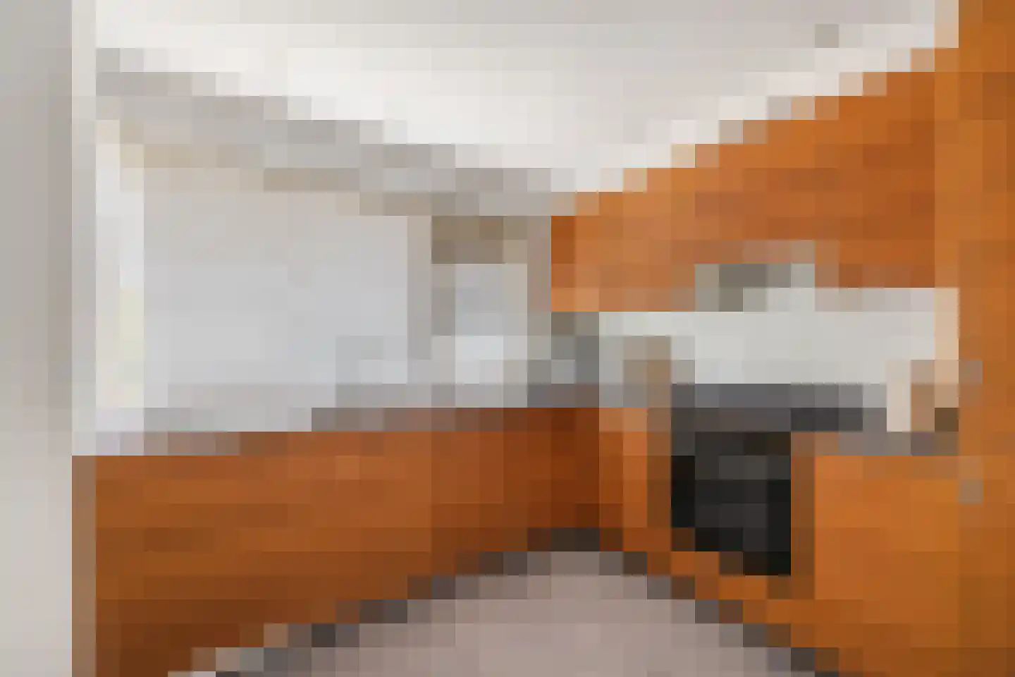 Professor Cobbenhagenlaan 88 Tilburg thumbnail 19