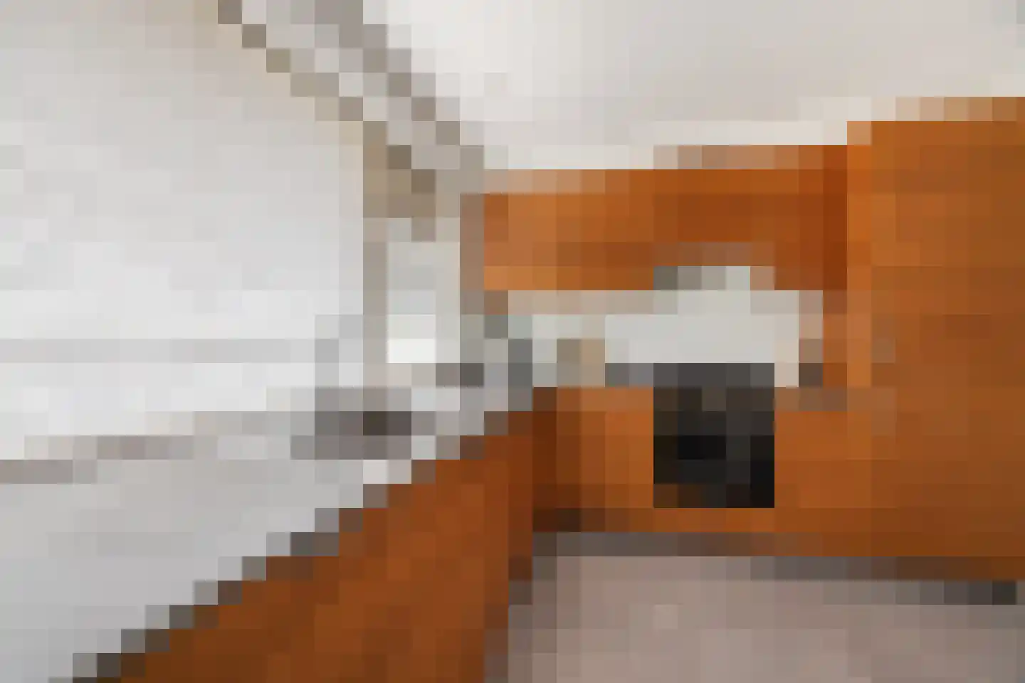 Professor Cobbenhagenlaan 88 Tilburg thumbnail 20