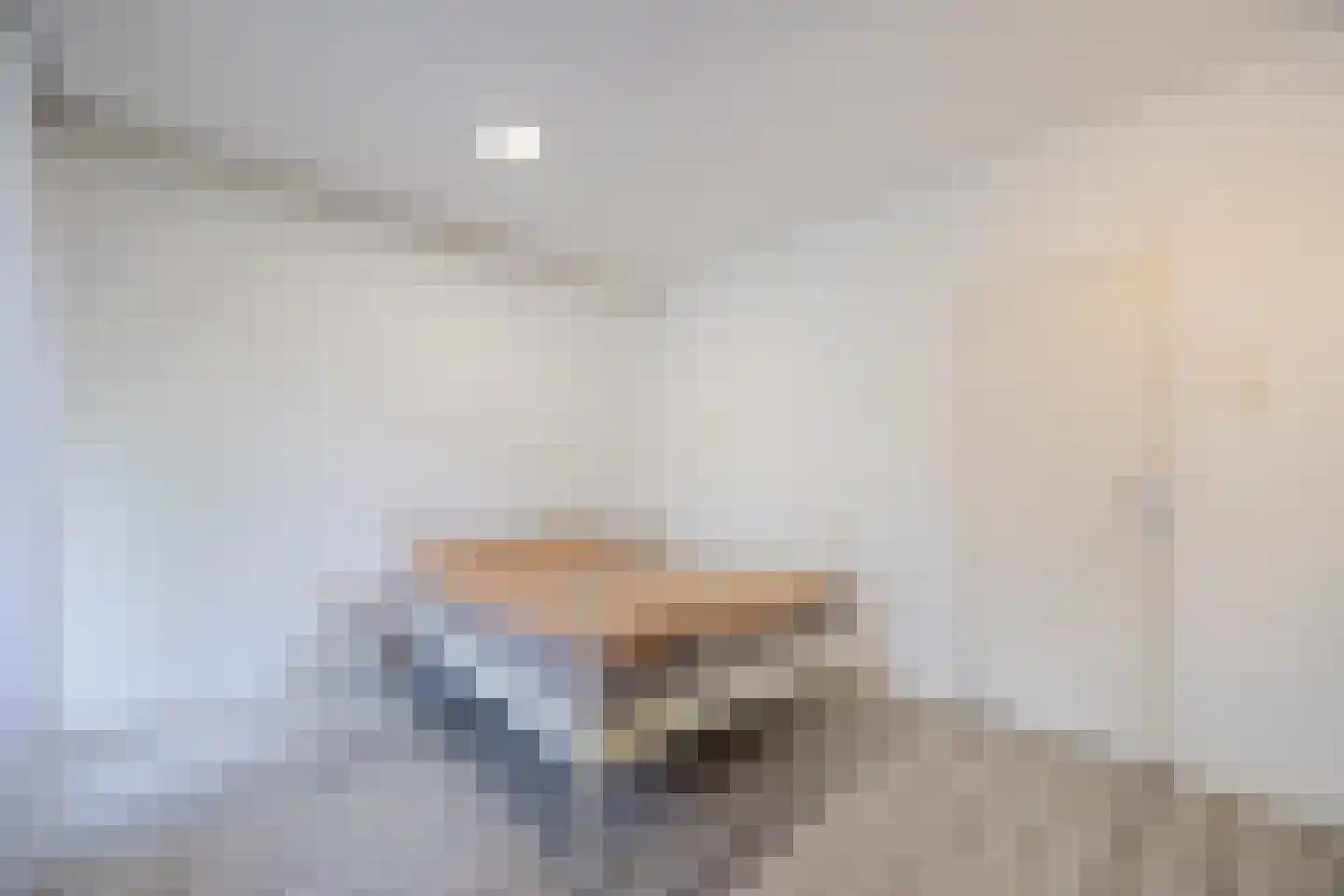 Professor Cobbenhagenlaan 88 Tilburg thumbnail 26