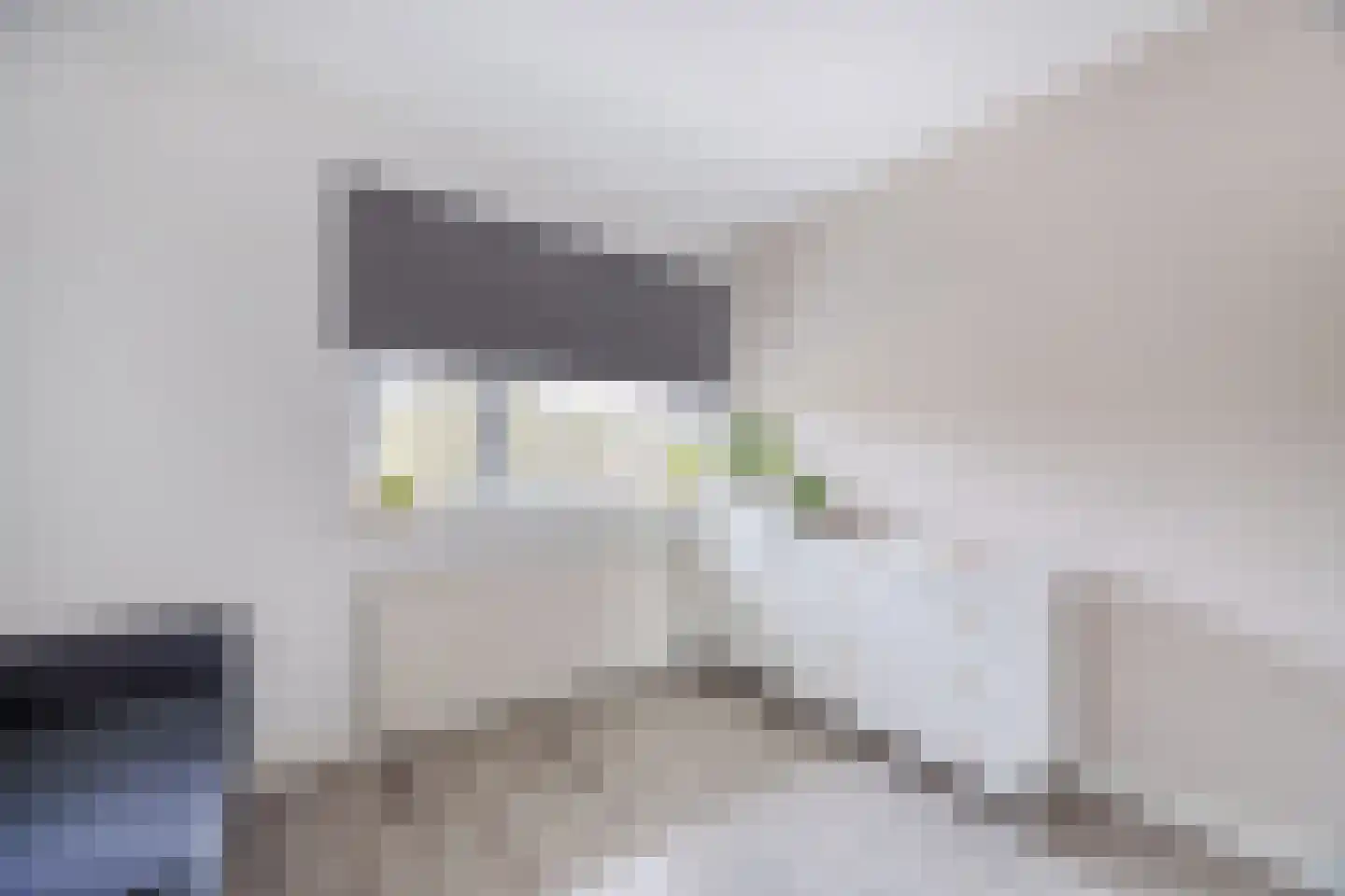 Professor Cobbenhagenlaan 88 Tilburg thumbnail 31