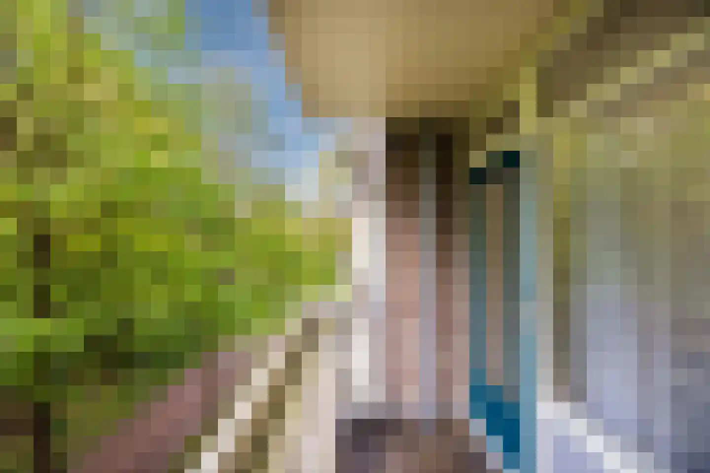Professor Cobbenhagenlaan 88 Tilburg thumbnail 39