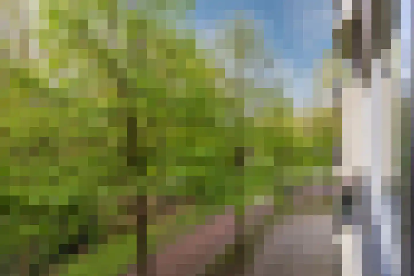 Professor Cobbenhagenlaan 88 Tilburg thumbnail 40