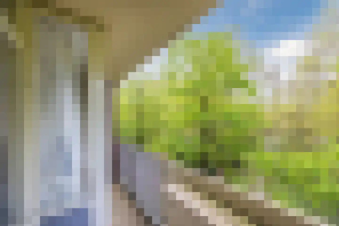 Professor Cobbenhagenlaan 88 Tilburg thumbnail 42