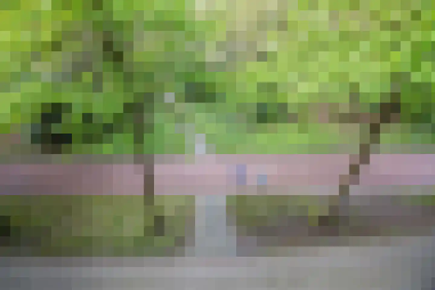 Professor Cobbenhagenlaan 88 Tilburg thumbnail 48