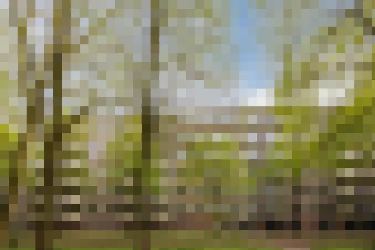 Professor Cobbenhagenlaan 88 Tilburg thumbnail 49