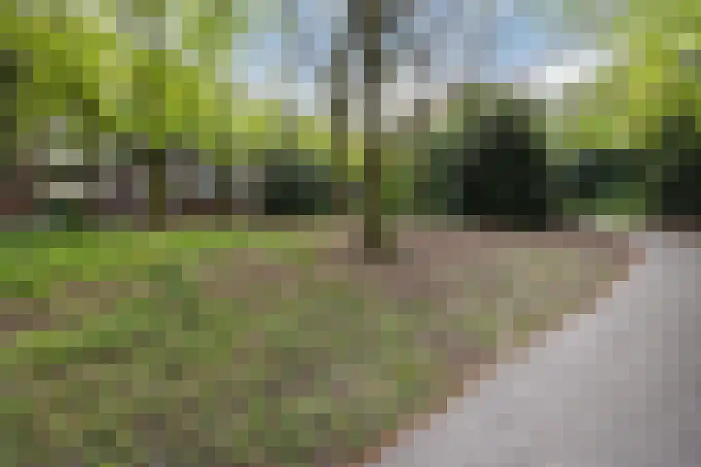 Professor Cobbenhagenlaan 88 Tilburg thumbnail 50