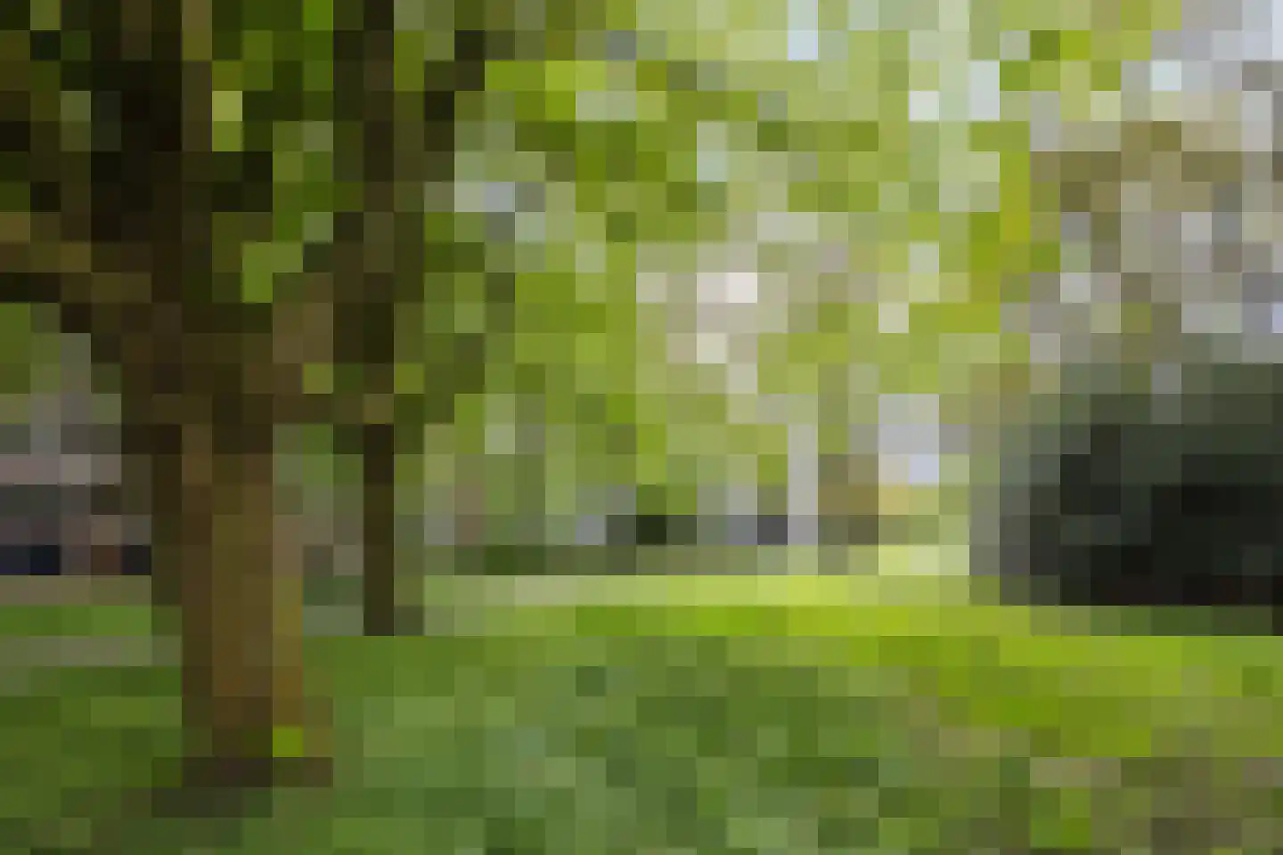 Professor Cobbenhagenlaan 88 Tilburg thumbnail 51