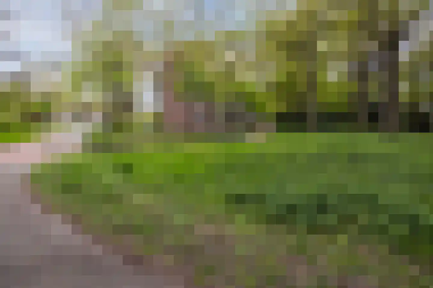 Professor Cobbenhagenlaan 88 Tilburg thumbnail 52